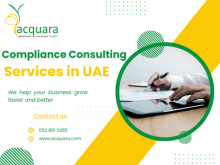 compliance services in uae